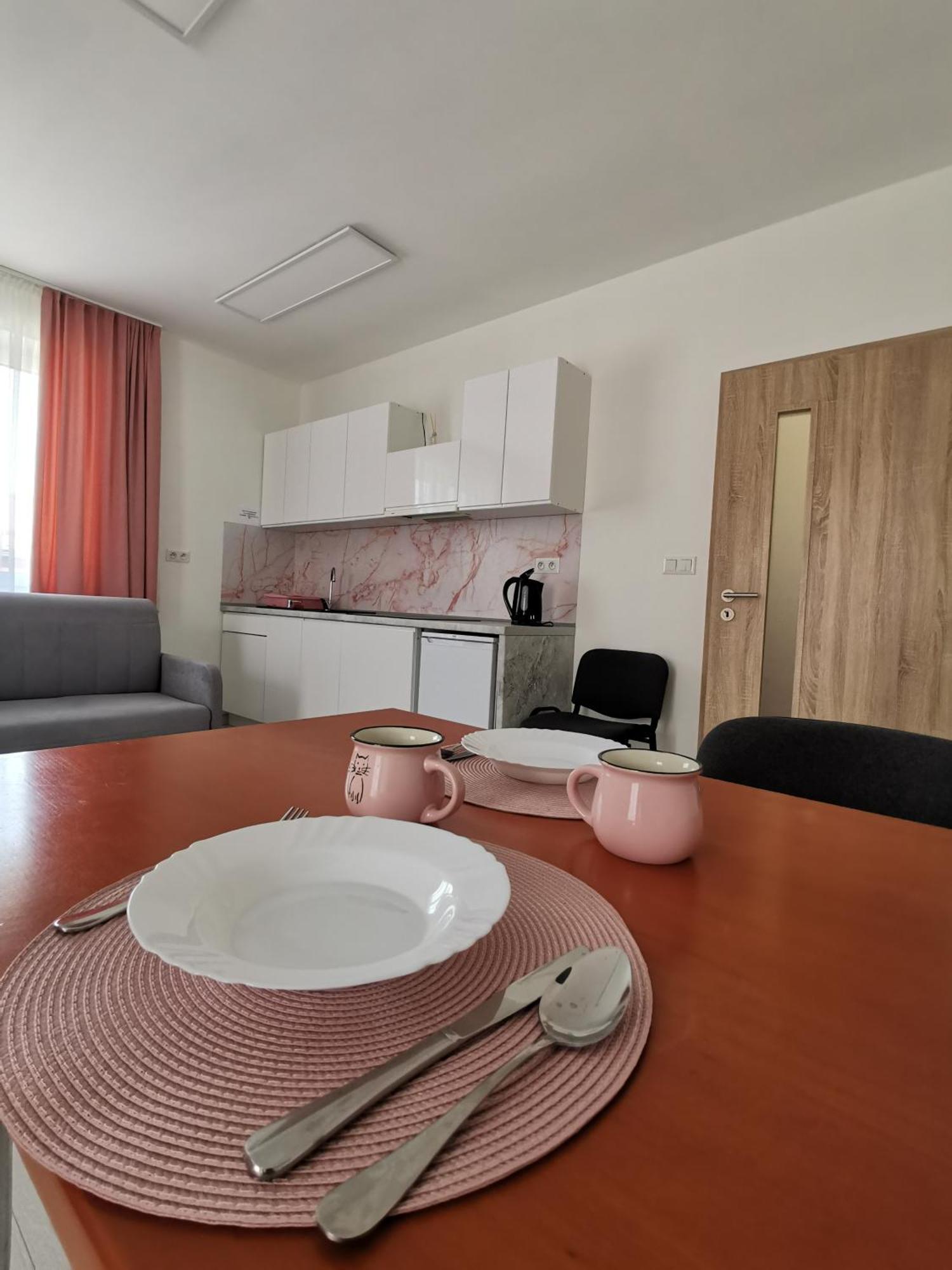 Comenius Apartments - Apartmany Na Rohu Svidnik Buitenkant foto